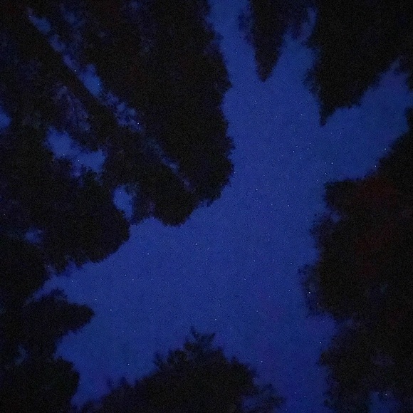 Meet your Posher, Lindsay - Picture 3 of 15